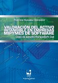 Valoración del activo intangible en empresas mipymes de software (eBook, ePUB)