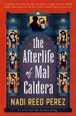 The Afterlife of Mal Caldera (eBook, ePUB)