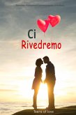 Ci Rivedremo: Romanzo Romantico Contemporaneo in Italiano (eBook, ePUB)