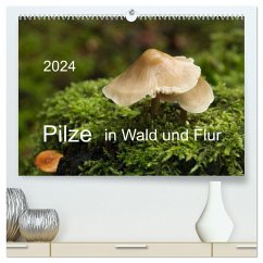 Pilze in Wald und Flur (hochwertiger Premium Wandkalender 2024 DIN A2 quer), Kunstdruck in Hochglanz