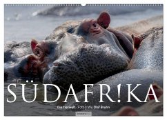 Südafrika - Die Tierwelt (Wandkalender 2024 DIN A2 quer), CALVENDO Monatskalender