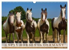 Gypsy Horses (Wandkalender 2024 DIN A3 quer), CALVENDO Monatskalender