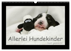 Allerlei Hundekinder (Wandkalender 2024 DIN A3 quer), CALVENDO Monatskalender - Köntopp, Kathrin