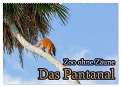 Zoo ohne Zäune - Das Pantanal (Wandkalender 2024 DIN A2 quer), CALVENDO Monatskalender