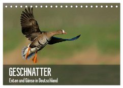 Geschnatter - Enten und Gänse in Deutschland (Tischkalender 2024 DIN A5 quer), CALVENDO Monatskalender