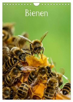 Bienen (Wandkalender 2024 DIN A4 hoch), CALVENDO Monatskalender