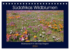 Südafrikas Wildblumen - Blütenpracht in der Kap-Region (Tischkalender 2024 DIN A5 quer), CALVENDO Monatskalender