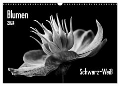 Blumen 2024, Schwarz-Weiß (Wandkalender 2024 DIN A3 quer), CALVENDO Monatskalender - Wurster, Beate