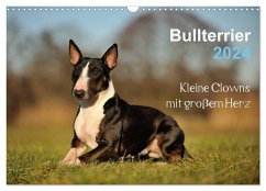 Bullterrier 2024 - Kleine Clowns mit großem Herz (Wandkalender 2024 DIN A3 quer), CALVENDO Monatskalender