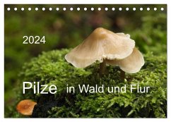 Pilze in Wald und Flur (Tischkalender 2024 DIN A5 quer), CALVENDO Monatskalender
