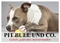 Pit Bull und Co. - Geliebt, gefürchtet, missverstanden (Wandkalender 2024 DIN A3 quer), CALVENDO Monatskalender - Stanzer, Elisabeth