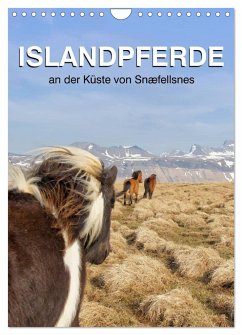 ISLANDPFERDE an der Küste von Snæfellsnes (Wandkalender 2024 DIN A4 hoch), CALVENDO Monatskalender