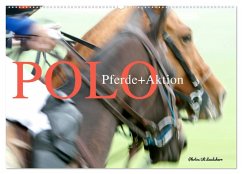 Polo Pferde + Aktion 2024 (Wandkalender 2024 DIN A2 quer), CALVENDO Monatskalender