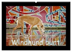 Windhund bunt (Wandkalender 2024 DIN A2 quer), CALVENDO Monatskalender