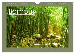 Bambus (Wandkalender 2024 DIN A4 quer), CALVENDO Monatskalender