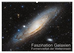 Faszination Galaxien Formenvielfalt der Welteninseln (Wandkalender 2024 DIN A2 quer), CALVENDO Monatskalender