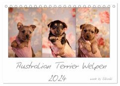 Australian Terrier Welpen (Tischkalender 2024 DIN A5 quer), CALVENDO Monatskalender