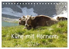 Kühe mit Hörnern (Tischkalender 2024 DIN A5 quer), CALVENDO Monatskalender