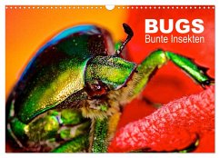 BUGS, Bunte Insekten (Wandkalender 2024 DIN A3 quer), CALVENDO Monatskalender