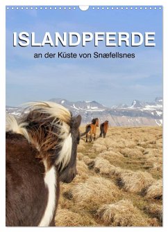 ISLANDPFERDE an der Küste von Snæfellsnes (Wandkalender 2024 DIN A3 hoch), CALVENDO Monatskalender - Albert, Jutta
