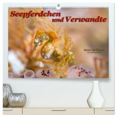 Seepferdchen und Verwandte (hochwertiger Premium Wandkalender 2024 DIN A2 quer), Kunstdruck in Hochglanz