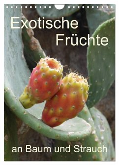 Exotische Früchte an Baum und Strauch (Wandkalender 2024 DIN A4 hoch), CALVENDO Monatskalender - Goldscheider, Stefanie