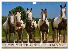 Gypsy Horses (Wandkalender 2024 DIN A4 quer), CALVENDO Monatskalender