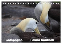 Galapagos. Fauna hautnah (Tischkalender 2024 DIN A5 quer), CALVENDO Monatskalender