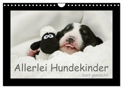 Allerlei Hundekinder (Wandkalender 2024 DIN A4 quer), CALVENDO Monatskalender - Köntopp, Kathrin