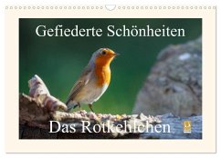 Gefiederte Schönheiten - Das Rotkehlchen (Wandkalender 2024 DIN A3 quer), CALVENDO Monatskalender