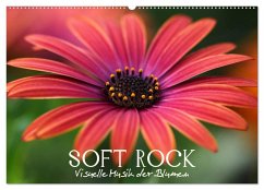 Soft Rock - Visuelle Musik der Blumen (Wandkalender 2024 DIN A2 quer), CALVENDO Monatskalender