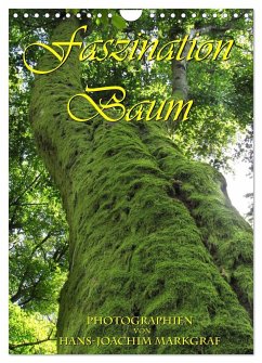 Faszination Baum (Wandkalender 2024 DIN A4 hoch), CALVENDO Monatskalender