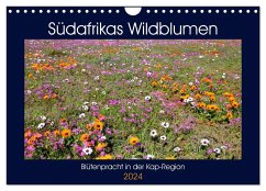 Südafrikas Wildblumen - Blütenpracht in der Kap-Region (Wandkalender 2024 DIN A4 quer), CALVENDO Monatskalender
