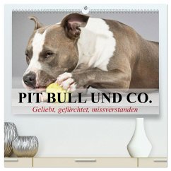 Pit Bull und Co. - Geliebt, gefürchtet, missverstanden (hochwertiger Premium Wandkalender 2024 DIN A2 quer), Kunstdruck in Hochglanz