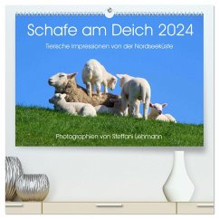 Schafe am Deich 2024. Tierische Impressionen von der Nordseeküste 
