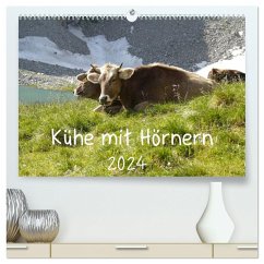 Kühe mit Hörnern (hochwertiger Premium Wandkalender 2024 DIN A2 quer), Kunstdruck in Hochglanz