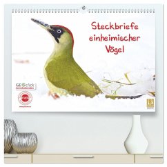Steckbriefe einheimischer Vögel (hochwertiger Premium Wandkalender 2024 DIN A2 quer), Kunstdruck in Hochglanz - Feske, Klaus