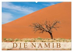 Die Namib (Wandkalender 2024 DIN A2 quer), CALVENDO Monatskalender