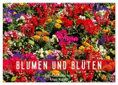 Blumen und Blüten (Wandkalender 2024 DIN A2 quer), CALVENDO Monatskalender