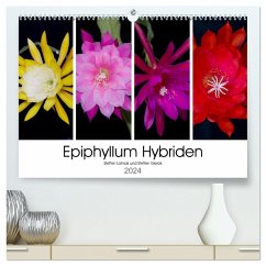 Epiphyllum-Hybriden (hochwertiger Premium Wandkalender 2024 DIN A2 quer), Kunstdruck in Hochglanz