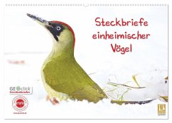 Steckbriefe einheimischer Vögel (Wandkalender 2024 DIN A2 quer), CALVENDO Monatskalender