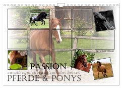 Passion - Pferde und Ponys (Wandkalender 2024 DIN A4 quer), CALVENDO Monatskalender