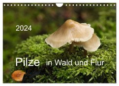 Pilze in Wald und Flur (Wandkalender 2024 DIN A4 quer), CALVENDO Monatskalender