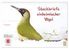 Steckbriefe einheimischer Vögel (Wandkalender 2024 DIN A3 quer), CALVENDO Monatskalender - Feske, Klaus