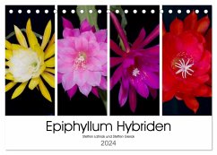 Epiphyllum-Hybriden (Tischkalender 2024 DIN A5 quer), CALVENDO Monatskalender