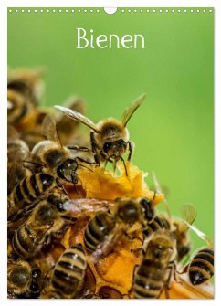 Bienen (Wandkalender 2024 DIN A3 hoch), CALVENDO Monatskalender