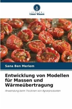 Entwicklung von Modellen für Massen und Wärmeübertragung - Ben Meriem, Sana