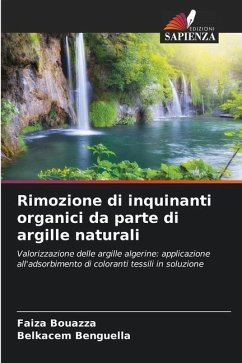 Rimozione di inquinanti organici da parte di argille naturali - Bouazza, Faiza;Benguella, Belkacem