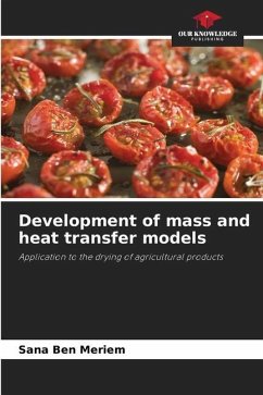 Development of mass and heat transfer models - Ben Meriem, Sana