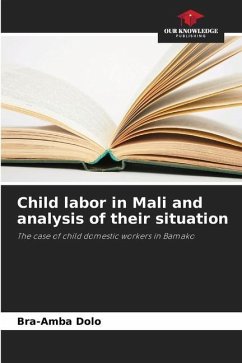 Child labor in Mali and analysis of their situation - Dolo, Bra-Amba